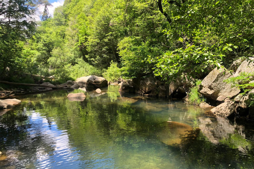 Deer Creek, Nevada City CA