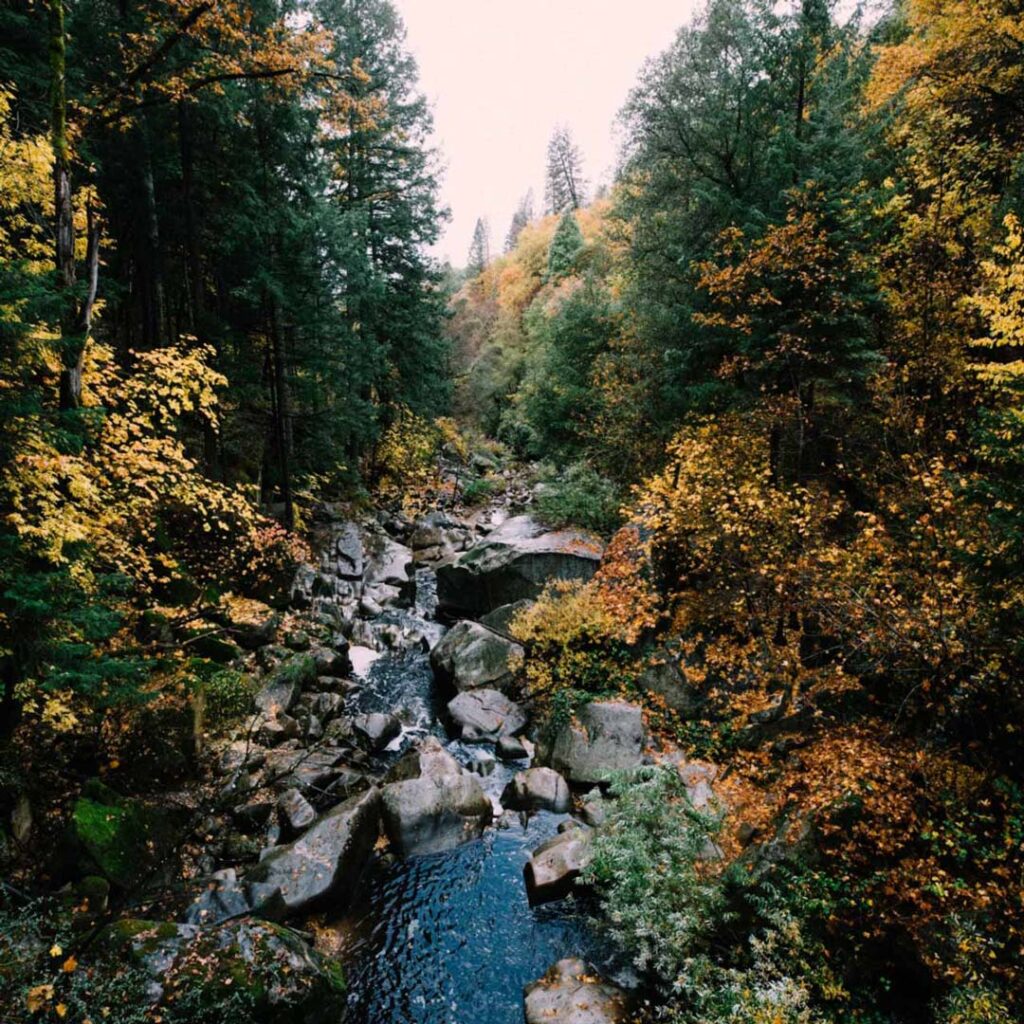 Fall at Deer Creek in Nevada City CA