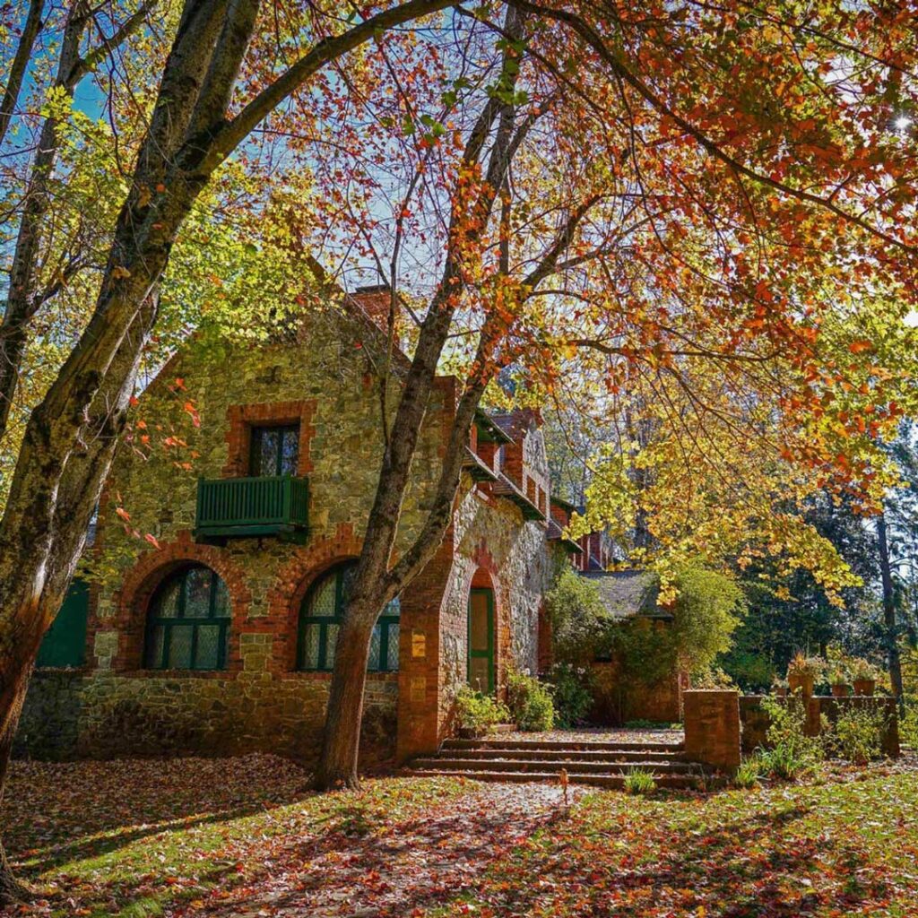 Fall at Empire Mine in Grass Valley CA